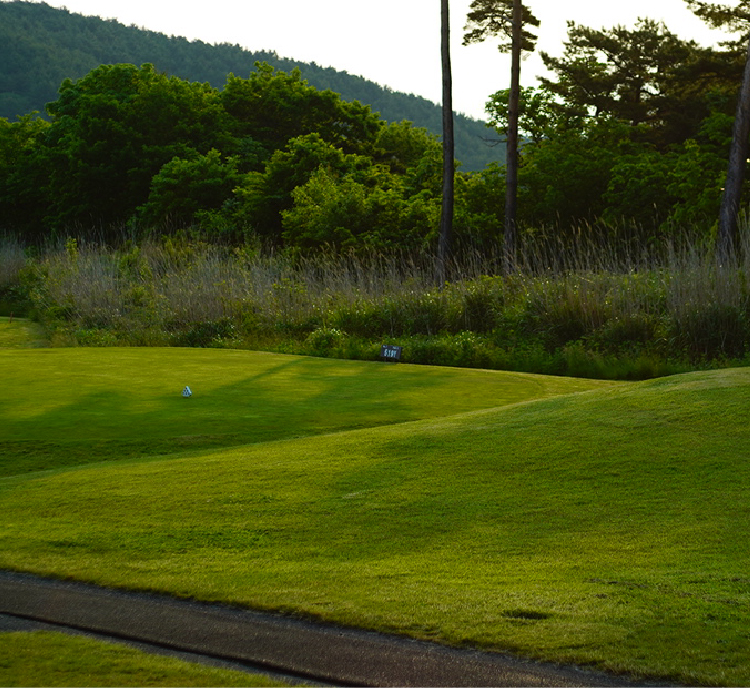 海を眺めることができるゴルフコースの朝の散歩