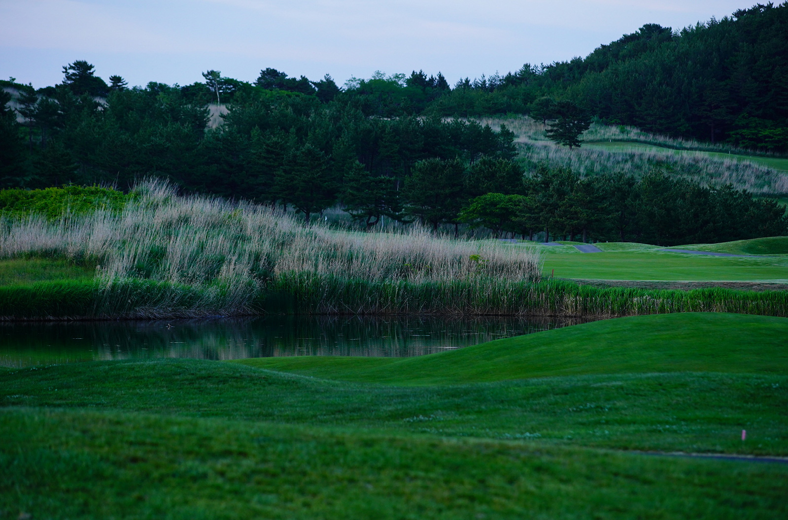 夏泊の風が、ゴルフの原点へと誘う。海と芝が広がる、本格リンクスの舞台。