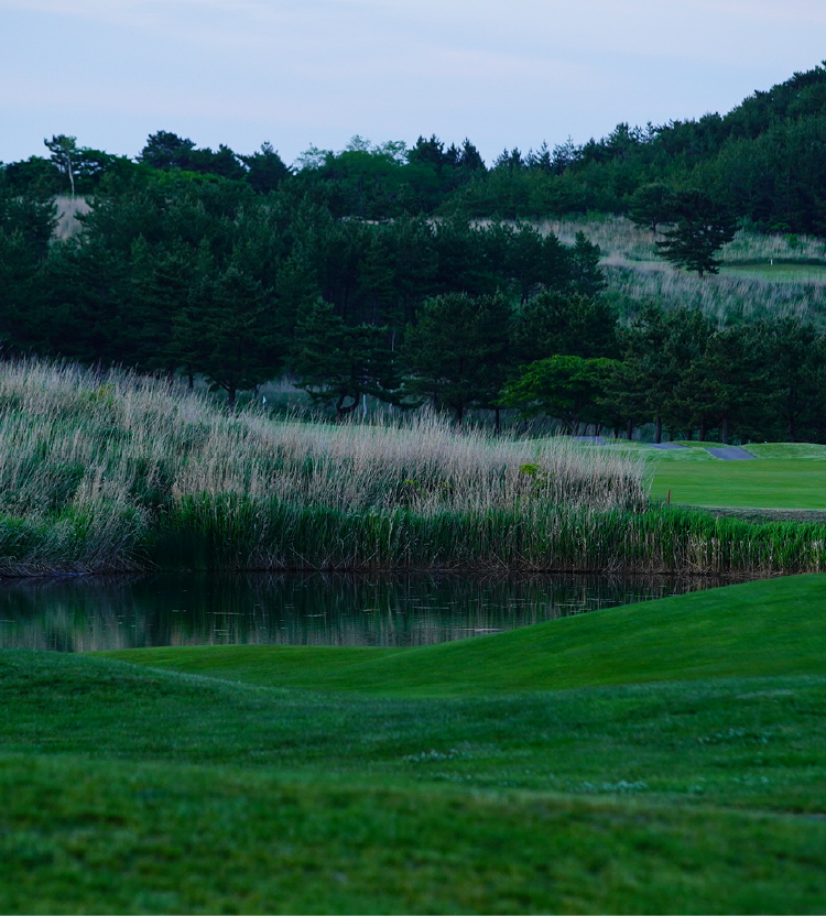 ゴルフ場のグリーン