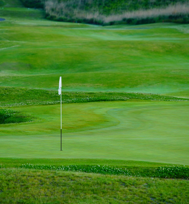 自然の起伏や野芝をそのまま生かした地形が特徴で、人工的な池や林を極力使わず、風や地形向き合うことができるコース