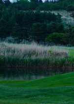 海と芝が広がる、本格リンクススタイルの青森・夏泊ゴルフリンクス